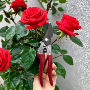 High Quality Versatile Cordless Pruning Scissors for Garden Work & Apple Branches Secateurs & Pruning Tools Hand Shears