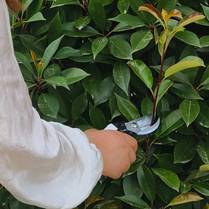High Quality Versatile Cordless Hedge Pruning Shears Red Silver Handles 5.5cm Carbon Steel Blade 20cm Length for Garden