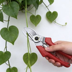 High Quality Orchard Manual Pruning Scissors & Secateurs Red and Silver Carbon Steel Blade for Apple Tree Indoor Plant T