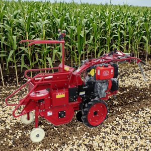 Integrated Diesel Corn Harvesting Machine Live Start Double Differential 360 Degree Steering Left Right Double Cultivato